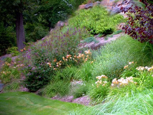 Slope Landscaping Ideas