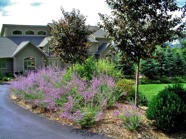 front driveway plantings