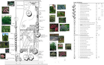 landscape drawing with plant photos