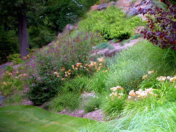 Landscape on a slope