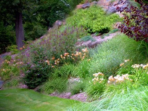 front yard slope with perennials
